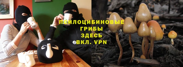 наркотики Алексин