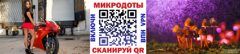 Псилоцибиновые грибы ЛСД  наркошоп  Юрьевец 